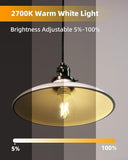 Yeelight LED Filament Light