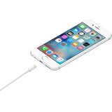 Apple Lightning To USB-A 0.5M - IBSouq